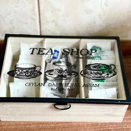 Triangle 1 베오그라드